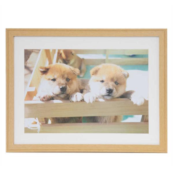 tWJ[@ؐz@YM-9_Ch4_ؒn ؒn