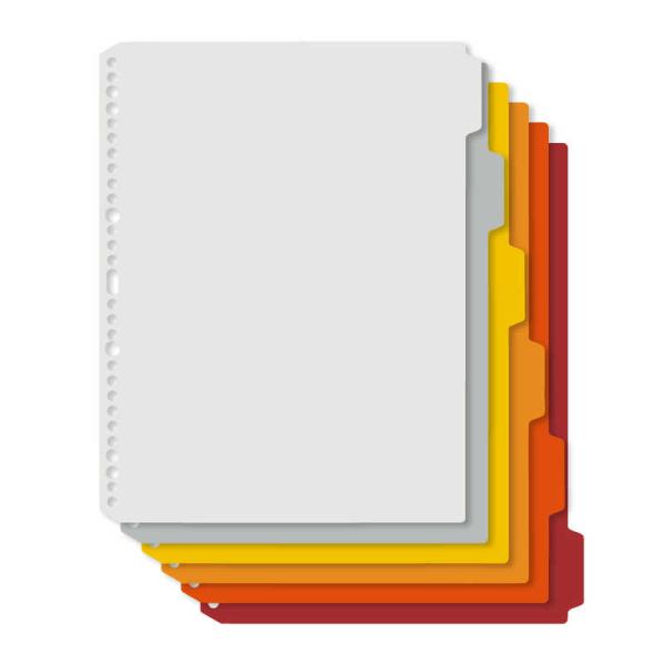 他サイト： プラス　デジャヴカラーズシリーズ 差替リフィール・PP製インデックスシート 30穴WARM　FL-102IXの商品画像