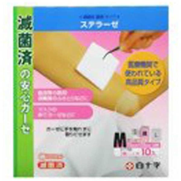 \@FC(t@~[PA)Xe[[M 10kсEK[[Ȃǁl@