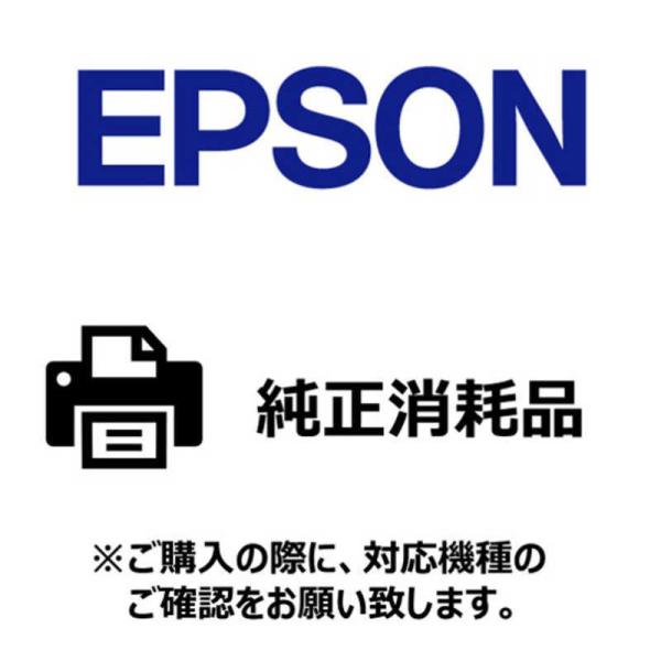 Gv\@EPSON@kCNWFbgl[ 򎆃x2 Sʃx [100mmx30m /1]@ZG2K100