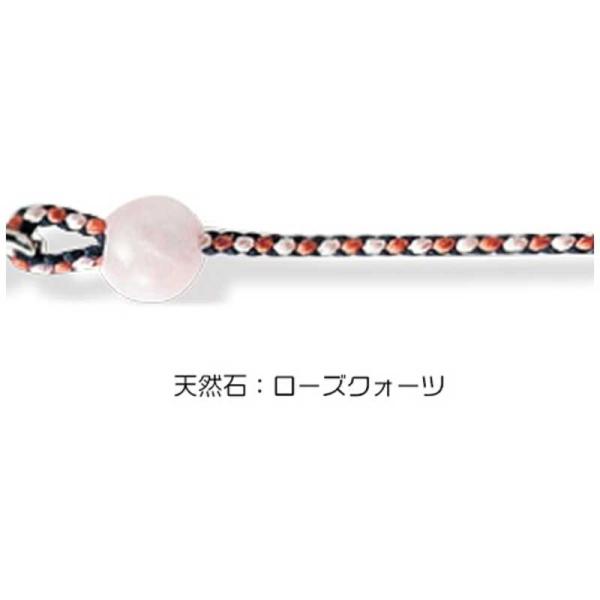 [Release date: January 1, 2000]名古屋眼鏡 Nagoya Gankyo コジマ コジマ電気 家電