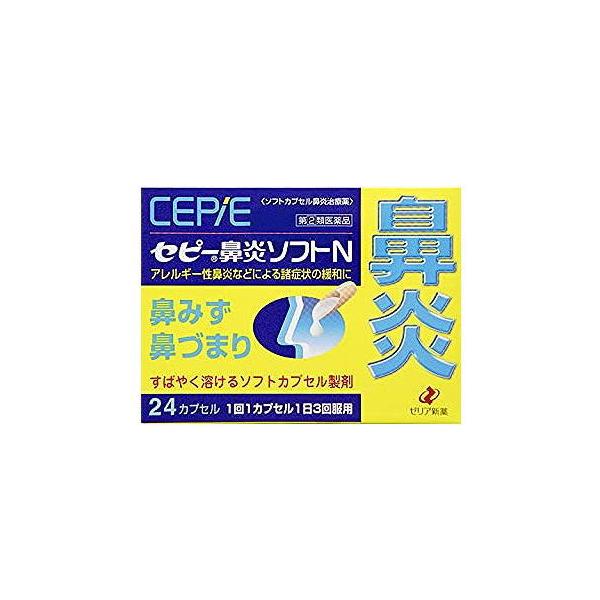 【第(2)類医薬品】セピー鼻炎ソフトN 24カプセル