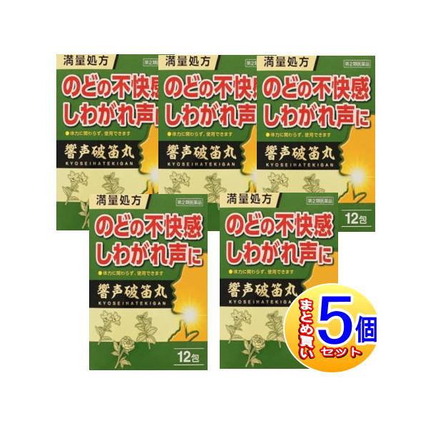 【5個セット】【第2類医薬品】響声破笛丸エキス顆粒G 12包【小型宅配便5set】