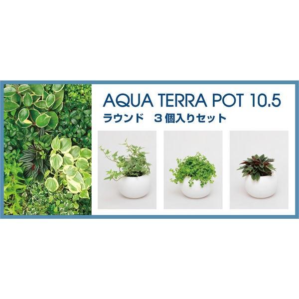インタープランツネット アクアテラポット ラウンド10 5 1セット 3個入 直送品 Buyee Buyee 提供一站式最全面最专业现地yahoo Japan拍卖代bid代拍代购服务 Bot Online