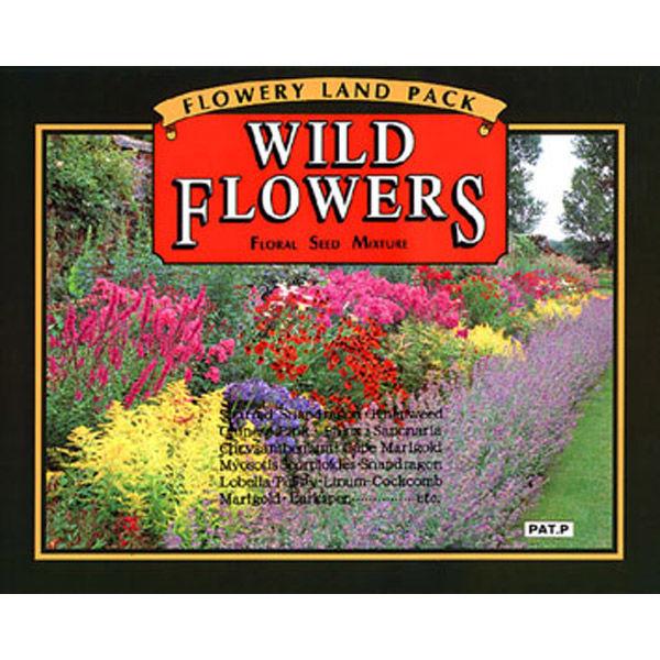 エヌケイインターナショナル 花の種 ワイルドフラワー 可愛い 花壇 育てる おしゃれ ガーデニング Wild F 1個 直送品 Pu Lohaco お取り寄せyahoo 店 通販 Yahoo ショッピング