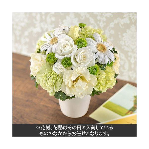 フラワーギフト ラッピング付 日比谷花壇 おまかせアレンジメント ホワイト グリーン系 Ta29 直送品 X4497 Lohaco お取り寄せyahoo 店 通販 Yahoo ショッピング