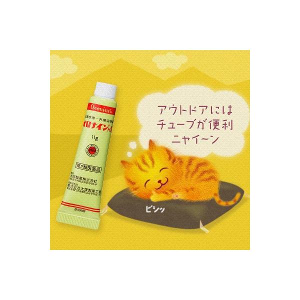 オロナイン H軟膏 11g 大塚製薬 第2類医薬品 Buyee Buyee 提供一站式最全面最專業現地yahoo Japan拍賣代bid代拍代購服務 Bot Online