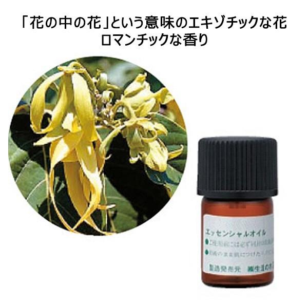 生活の木 エッセンシャルオイル イランイラン 1本 3ml Lohaco Paypayモール店 通販 Paypayモール