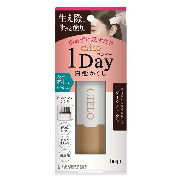 1Dayタイプの次の日に残らない白髪染め