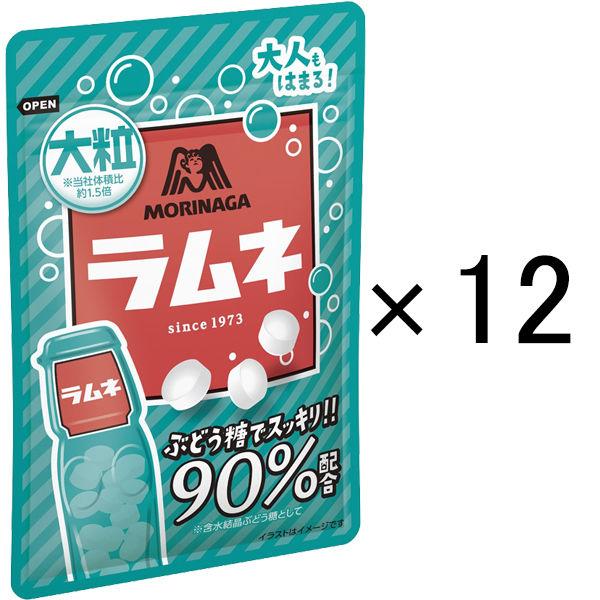 大粒ラムネ　41g×10個　森永製菓　追跡可能メール便で送料無料