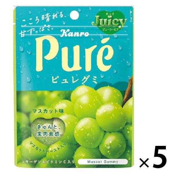 セール カンロ ピュレグミマスカット 5袋 グミ お菓子 Lohaco Paypayモール店 通販 Paypayモール