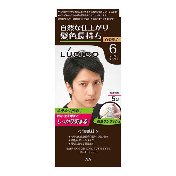 ルシード ワンプッシュケアカラーダークブラウン 6 メンズ用 無香料 白髪染め マンダム 医薬部外品 Lohaco Paypayモール店 通販 Paypayモール