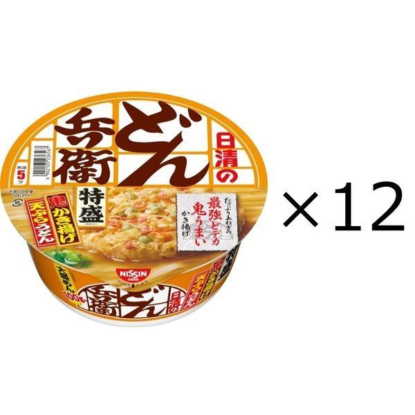 日清食品 日清のどん兵衛 特盛かき揚げ天ぷらうどん 12個 Lohaco Paypayモール店 通販 Paypayモール