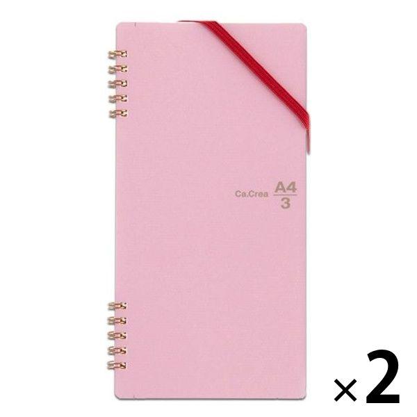 プラス リングノート カ クリエ 1 3 5mm方眼 ツインリング こすもす ピンク 2冊 Rt 650gc Lohaco Paypayモール店 通販 Paypayモール