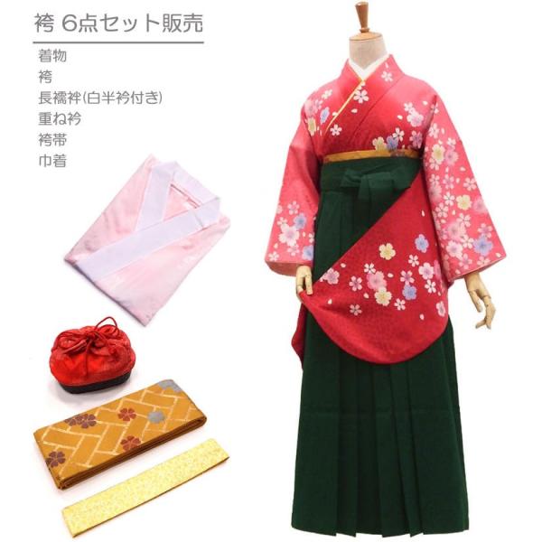 卒業袴6点セット 販売 桜を散りばめたグラデーションRED 身長約１５５から１６２ｃｍ対応