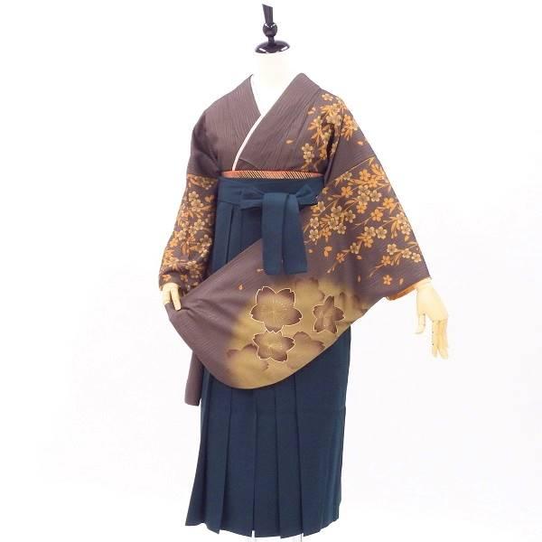 卒業式 着物と袴 6点セット販売 身長約145から148cm対応 シックな夜