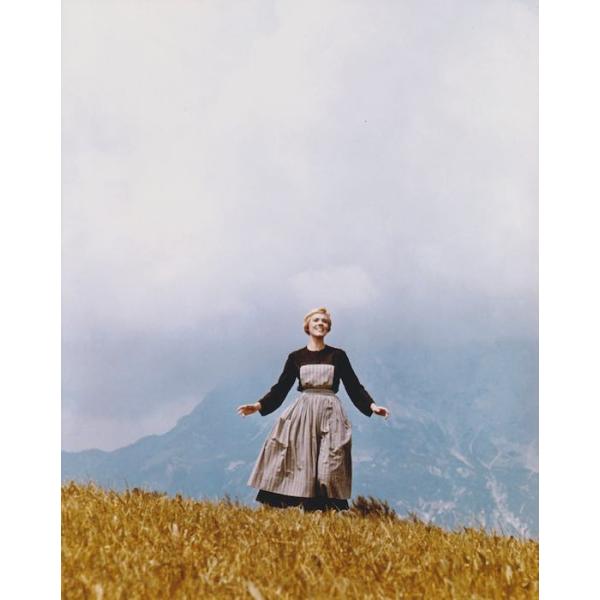 サウンドオブミュージック ジュリーアンドリュース 輸入 写真 約20.3