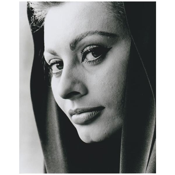 ソフィアローレン Sophia Loren 映画 写真 輸入 約20.3x25.4cm 12355r
