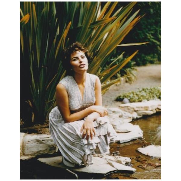 ソフィアローレン Sophia Loren 写真 輸入品 8x10インチサイズ 約20.3x25.4cm 40263d.