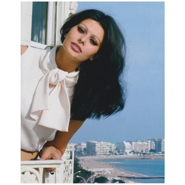 ソフィアローレン Sophia Loren 約20.3x25.4cm 輸入 写真 40404d