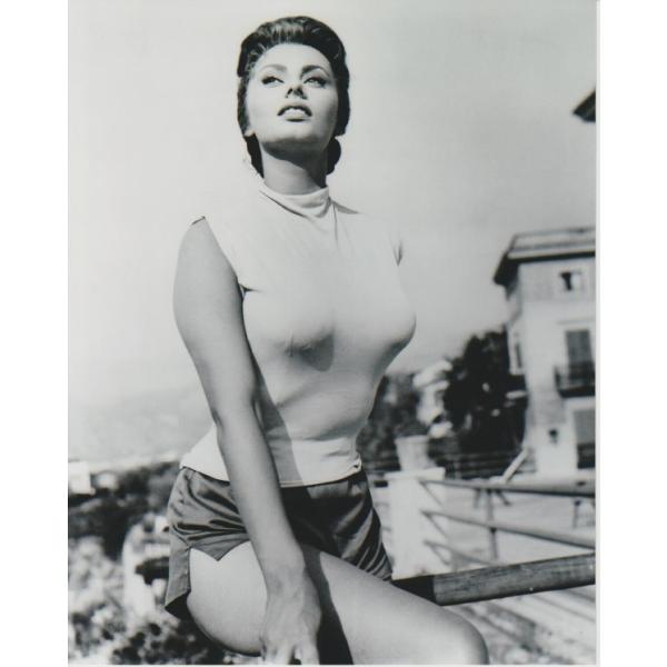 ソフィアローレン Sophia Loren 535 写真 輸入品 8x10インチサイズ 約20.3x25.4cm :535:movie-images  通販 