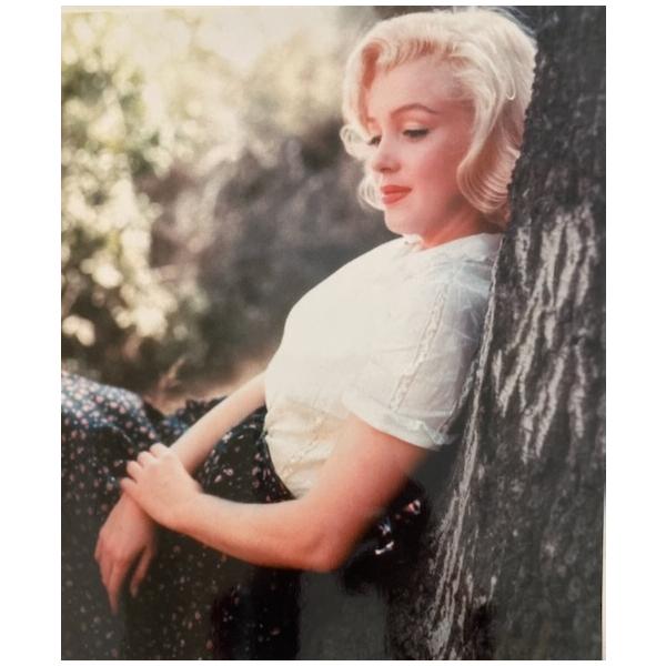 四切サイズ(約25.4×30.5cm) マリリンモンロー 画質粗いです。Marilyn