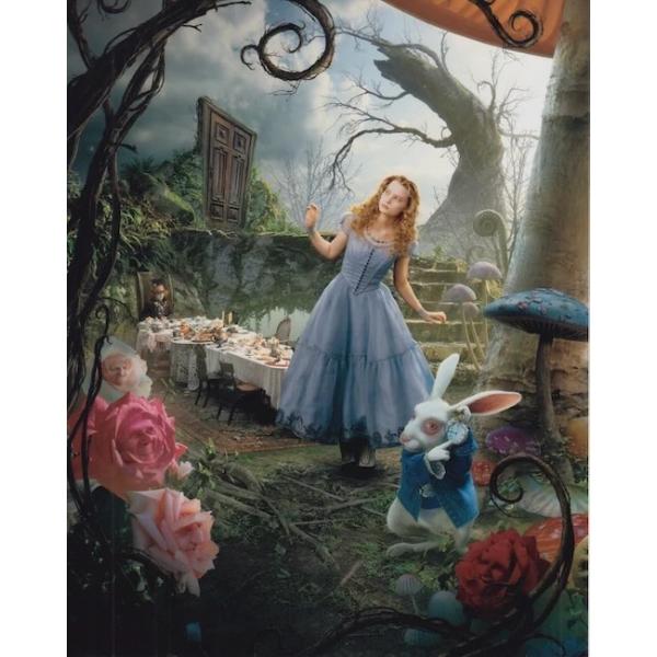 アリスインワンダーランド　Alice in Wonderland　アンハサウェイ　Anne Hathaway　輸入　写真　20.3x25.4cm　yd-10734