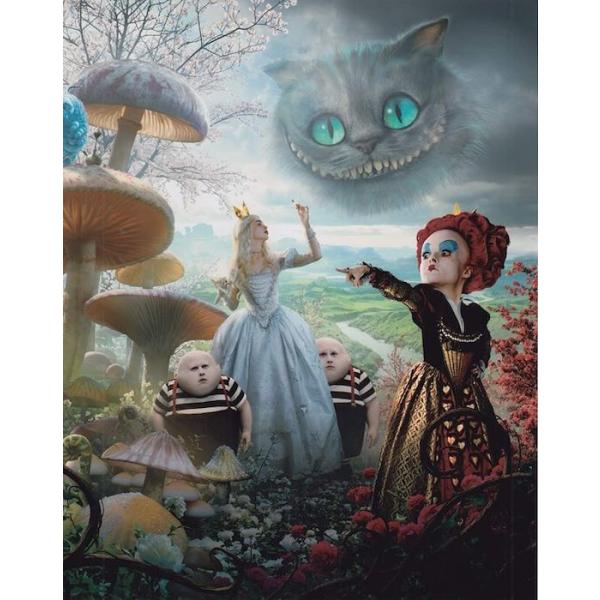 アリスインワンダーランド　Alice in Wonderland　アンハサウェイ　Anne Hathaway　輸入　写真　20.3x25.4cm　yd-10735