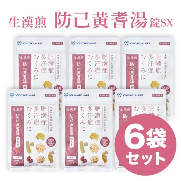 公式／第2類医薬品 生漢煎 防已黄耆湯 錠SX 180錠入（15日分×6袋