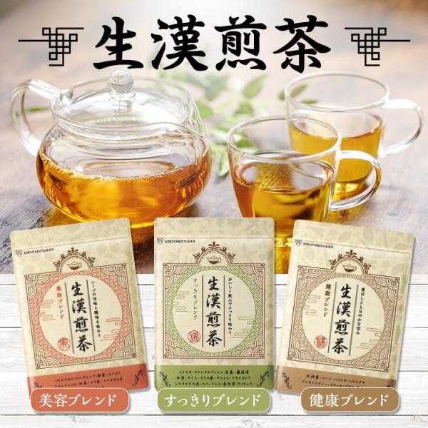 生漢煎茶（10包入り）美容ブレンド・健康ブレンド・すっきりブレンド／ハーブティー ハトムギ ハイビスカス ローズヒップ ショウガ 杜仲茶 コーン ジャスミン