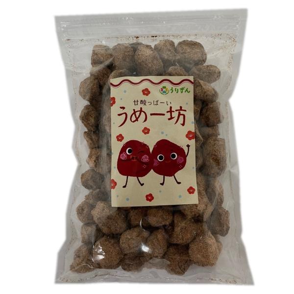 大き目サイズの梅菓子です。梅パウダーが袋の下に入っていますので、お好みでつけて食べられます。名称：梅菓子原材料名：梅（中国）、ブドウ糖、食塩、砂糖/甘味料（アスハルテーム・L-フェニルアラニン化合物）、ソルビトール、酸味料、調味料、（アミノ...