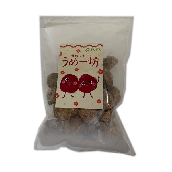 大き目サイズの梅菓子です。梅パウダーが袋の下に入っていますので、お好みでつけて食べられます。名称：梅菓子原材料名：梅（中国）、ブドウ糖、食塩、砂糖/甘味料（アスハルテーム・L-フェニルアラニン化合物）、ソルビトール、酸味料、調味料、（アミノ...