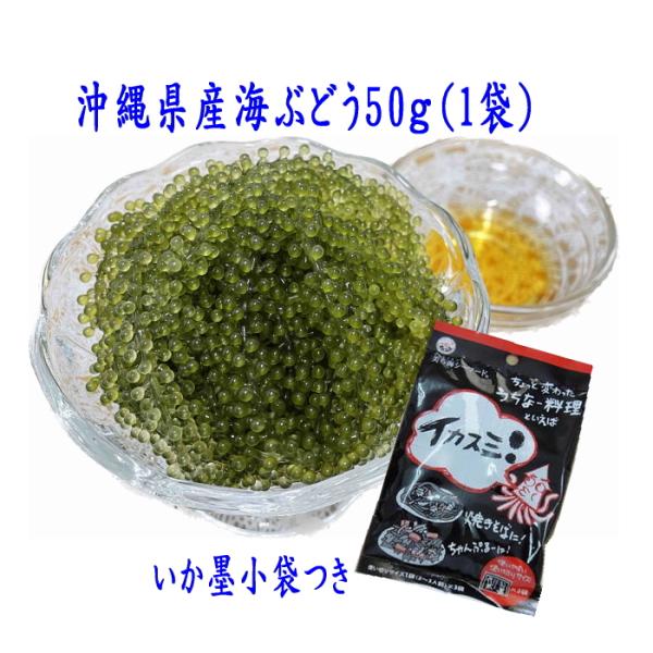 他サイト： 沖縄産海ぶどう1袋 ＋いか墨小袋(1袋)付き ネコポス便送料無料の商品画像