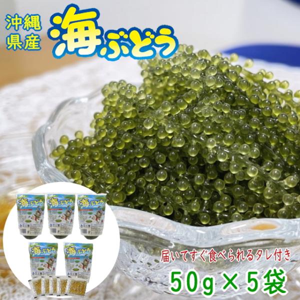 沖縄県産の海ぶどう（タレ付き）。化粧箱なし、業務用としてどうぞ。「海ぶどう」はビタミンやカルシウム、鉄などのミネラルを豊富に含でいる低カロリーでヘルシーな自然食品。名称：海ぶどう（クビレヅタ） 塩水入り原材料名：海ぶどう（沖縄県産）、食塩固...