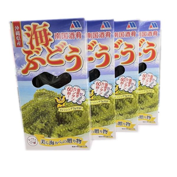 沖縄県産 海ぶどう（南国酒肴）100g×4箱 塩水 タレ(7g)付き