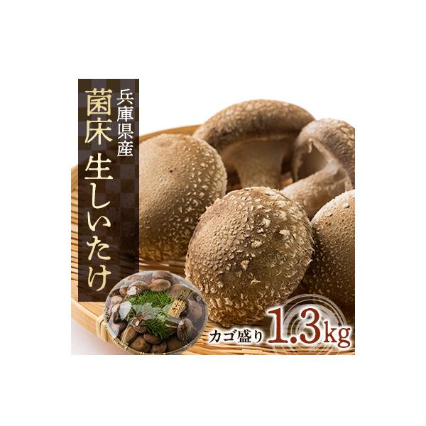 菌床生しいたけ　1.3kg