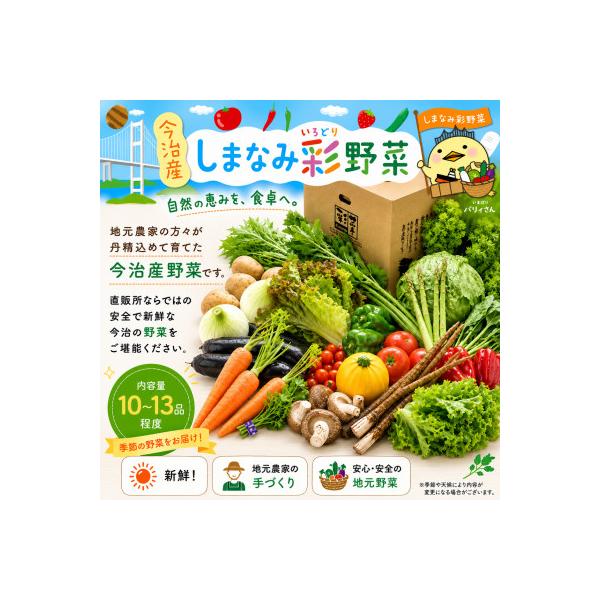 しまなみ彩野菜セット(今治産野菜の詰合せ)【VB00100】