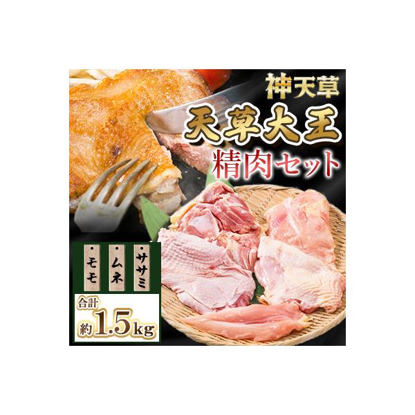 天草大王精肉セット
