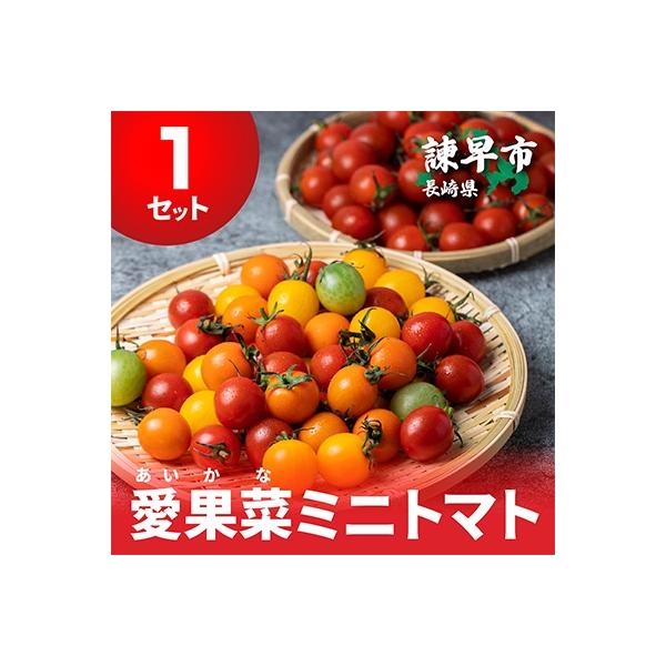 愛果菜ミニトマト