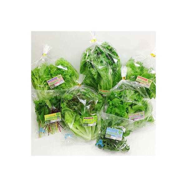 ■お礼品詳細　・原産地：長野県　・賞味期限：未開封で約1週間　・提供元：洗わなくていい野菜　クリーンリーフ信州■お申し込み・配送・その他　・発送時期：お申込み後、順次発送(お届け時間帯指定可)　・申込受付期間：通年　・配達外のエリア：　・寄...