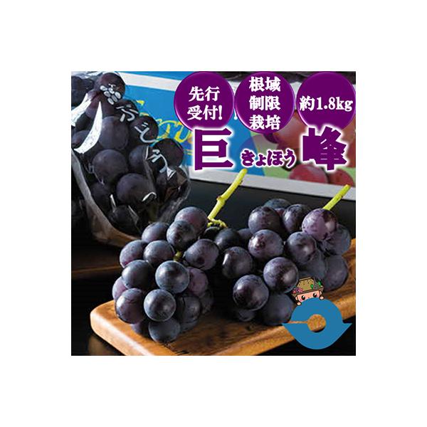 【先行受付!】【くまもと湯前産】　巨峰　約1.8kg※種あり(根域制限栽培)