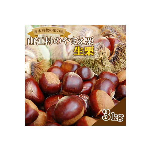 【先行受付】【大粒利平】日本有数の栗の里山江村のやまえ栗生栗　3kg