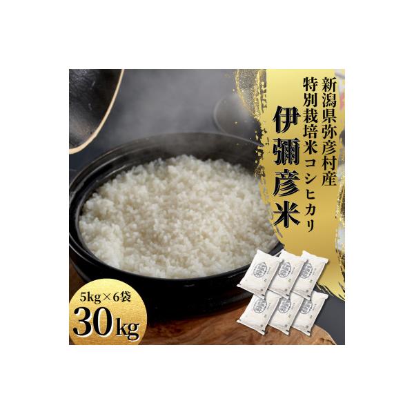 令和7年 特別栽培米コシヒカリ「伊彌彦米」30kg(5kg×6袋)新潟県産 精米 弥彦村