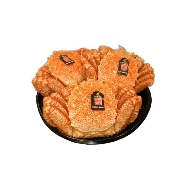 森町 ふるさと納税 ミソたっぷり 浜ゆで毛ガニ3尾 500 600g 3尾 Proyectohombrealmeria Es