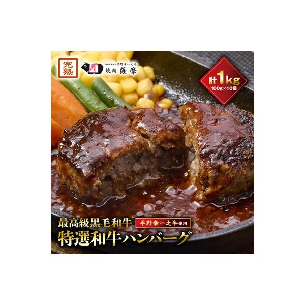 特選和牛〈焼肉薩摩 完熟平野幸一之牛〉ハンバーグ10個
