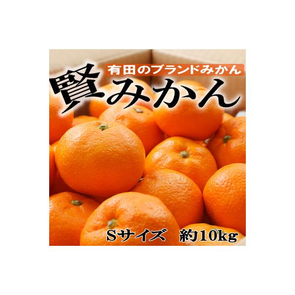 「先行受付2026年11月から発送」[秀品]和歌山有田ブランド「賢みかん」約10kg(Sサイズ)