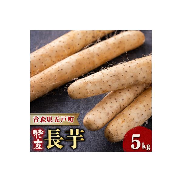 【青森県五戸町特産】長芋　5kg