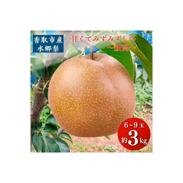 「香取市産水郷梨」新高1箱約3kg(6玉～8玉入り)