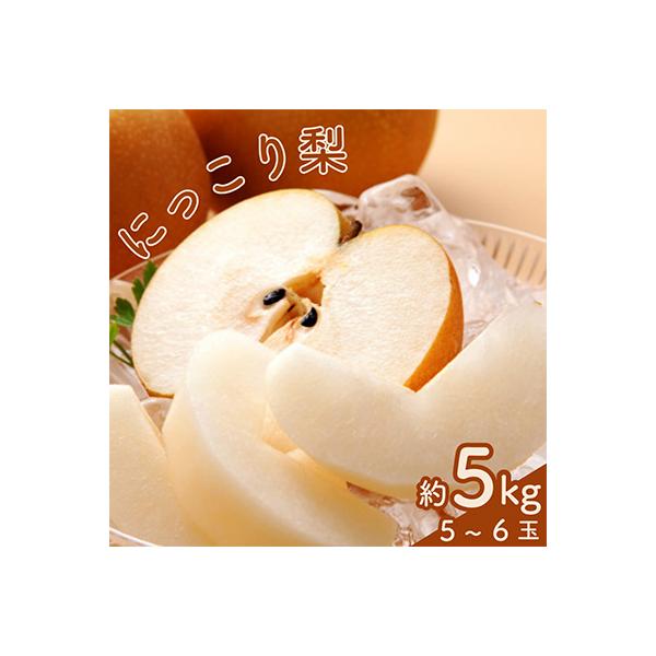 にっこり梨1箱(5個～6個)