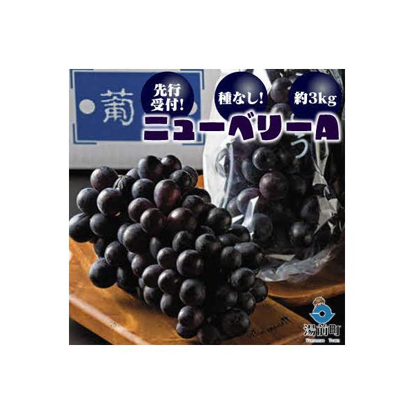 【先行受付!】【くまもと湯前産】種なし!ニューベリーA 約3kg
